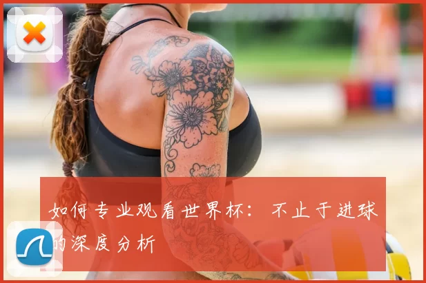 如何专业观看世界杯:不止于进球的深度分析
