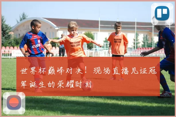 世界杯巅峰对决!现场直播见证冠军诞生的荣耀时刻