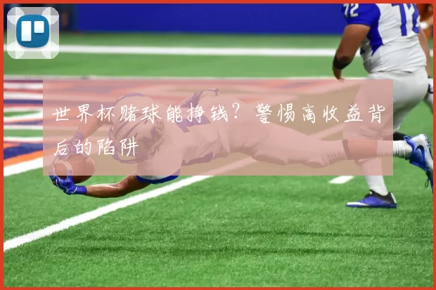 世界杯赌球能挣钱?警惕高收益背后的陷阱