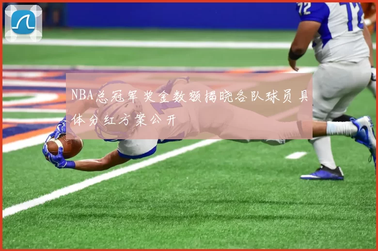 NBA总冠军奖金数额揭晓各队球员具体分红方案公开