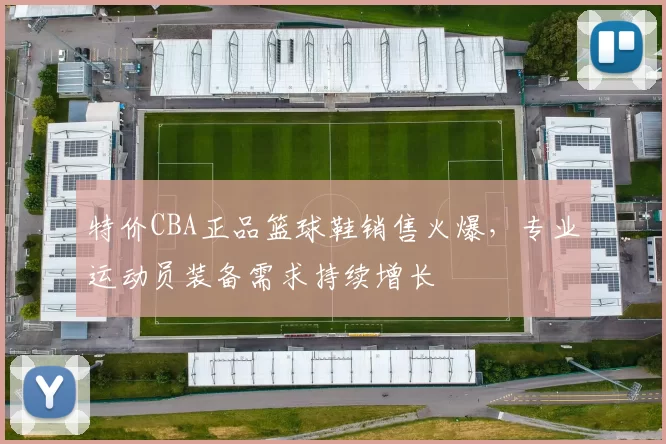 特价CBA正品篮球鞋销售火爆,专业运动员装备需求持续增长