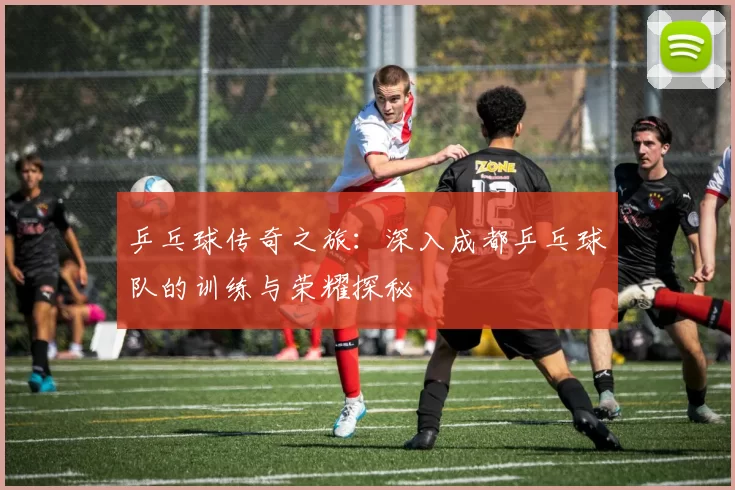 乒乓球传奇之旅：深入成都乒乓球队的训练与荣耀探秘