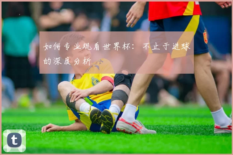 如何专业观看世界杯:不止于进球的深度分析