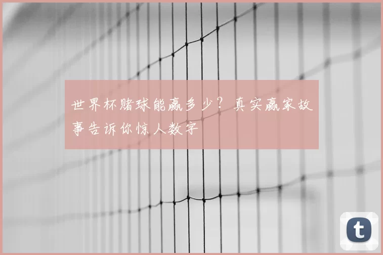 世界杯赌球能赢多少?真实赢家故事告诉你惊人数字