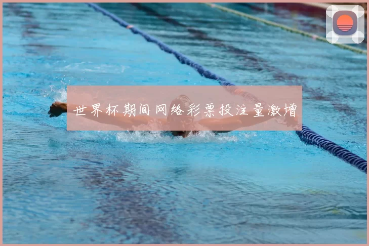 世界杯期间网络彩票投注量激增