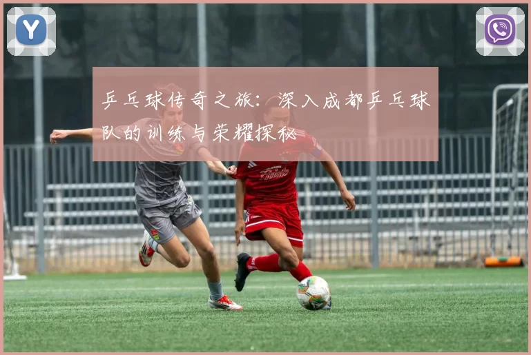 乒乓球传奇之旅：深入成都乒乓球队的训练与荣耀探秘