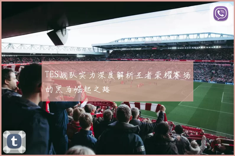 TES战队实力深度解析王者荣耀赛场的黑马崛起之路